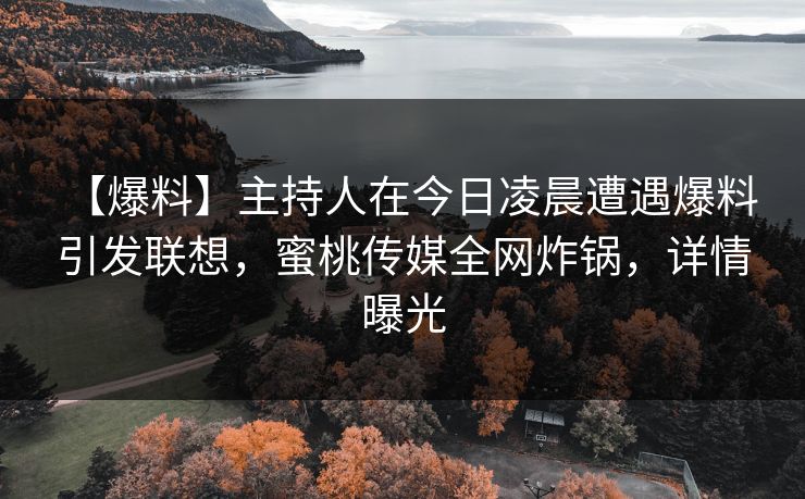 【爆料】主持人在今日凌晨遭遇爆料 引发联想，蜜桃传媒全网炸锅，详情曝光