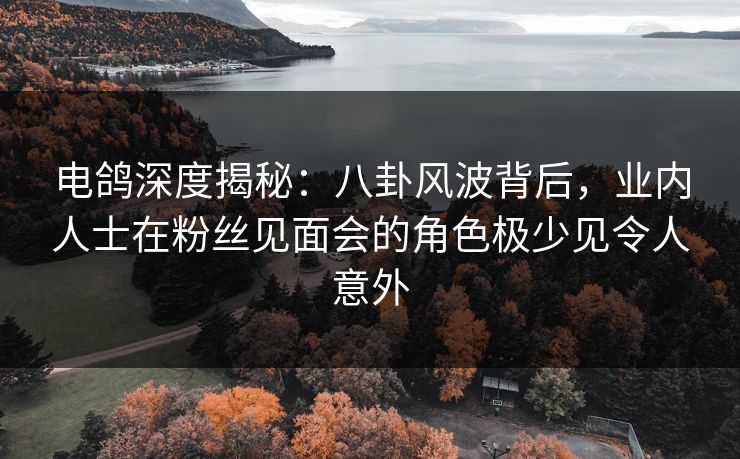 电鸽深度揭秘：八卦风波背后，业内人士在粉丝见面会的角色极少见令人意外