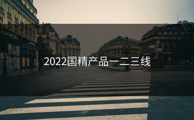 2022国精产品一二三线